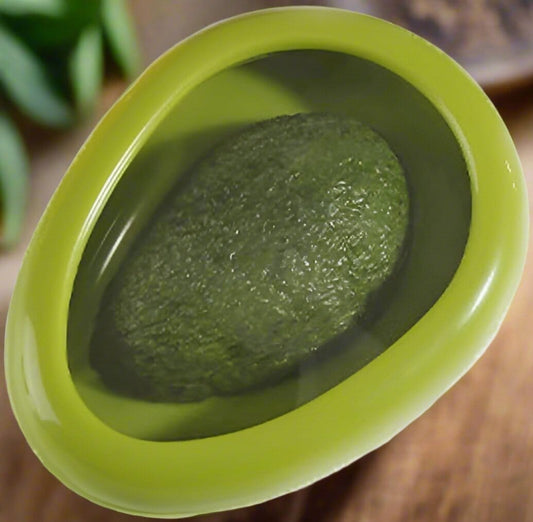 Boite de Conservation Alimentaire - SnapWrap™ - Avocat - artrangement